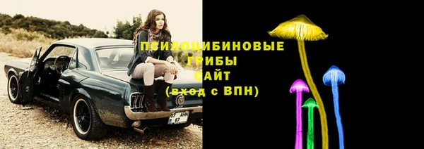 мдпв Воткинск