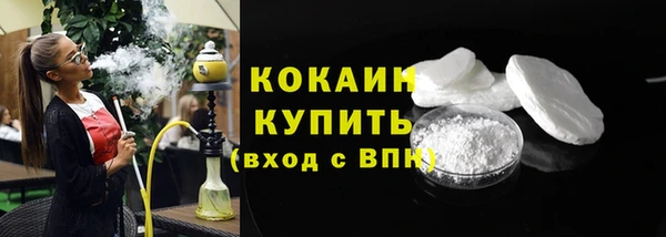 гидра Каменка