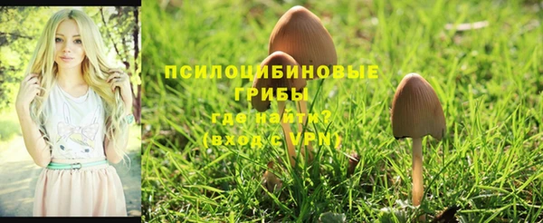 кокаин VHQ Каменногорск