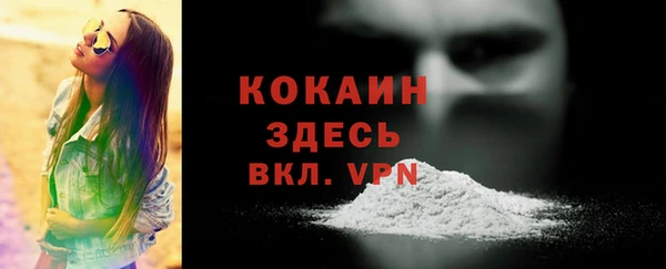 spice Инта