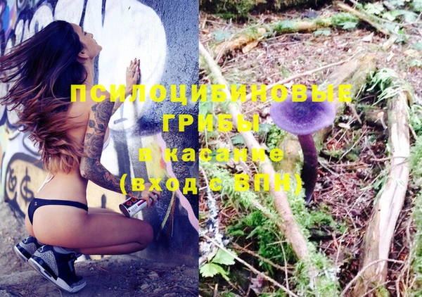 амф Вязьма