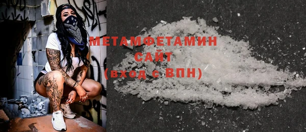 гидра Каменка