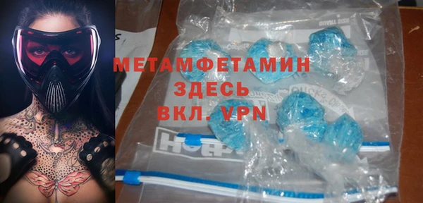 гидра Каменка