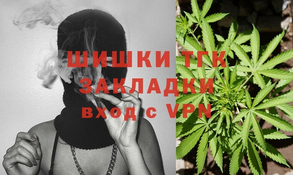 spice Инта
