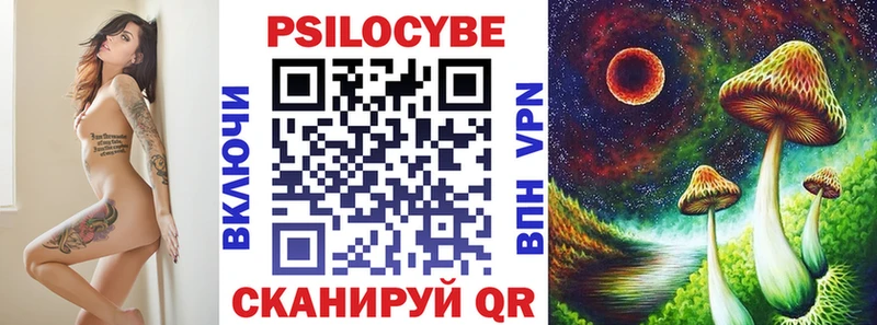 где купить   MEGA tor  Галлюциногенные грибы MAGIC MUSHROOMS  Михайловка 
